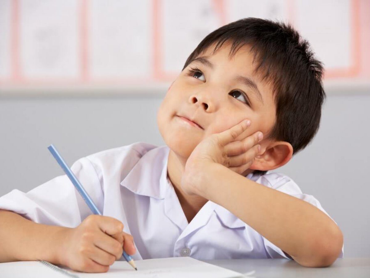 Bimbingan Belajar Sd Kelas 6 Sidoarjo